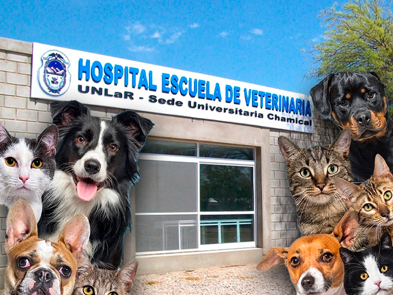 UNLaR y Royal Canin se unen para cuidar la salud de mascotas en Chamical